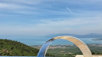 Une piscine agrémentée d’un élément décoratif aquatique et offrant une vue sur un paysage côtier.