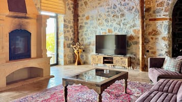 Un salon chaleureux avec une cheminée en pierre, un téléviseur et un canapé confortable.