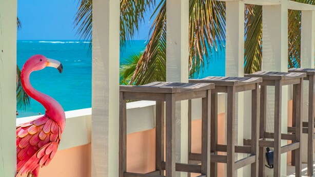 A wooden balcony with a view of the ocean and a flamingo decoration. - Palm Villa- Rooftop, Pool and Direct Beach Access (Río Grande)