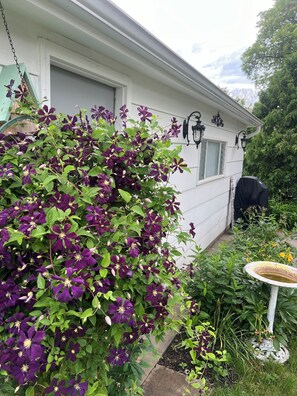 Détail de l’extérieur