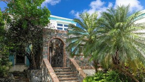 A stone staircase leading to a door, surrounded by lush greenery and a palm tree. - Cielo Vista | Pool | Sunsets | Generator (Cruz Bay)