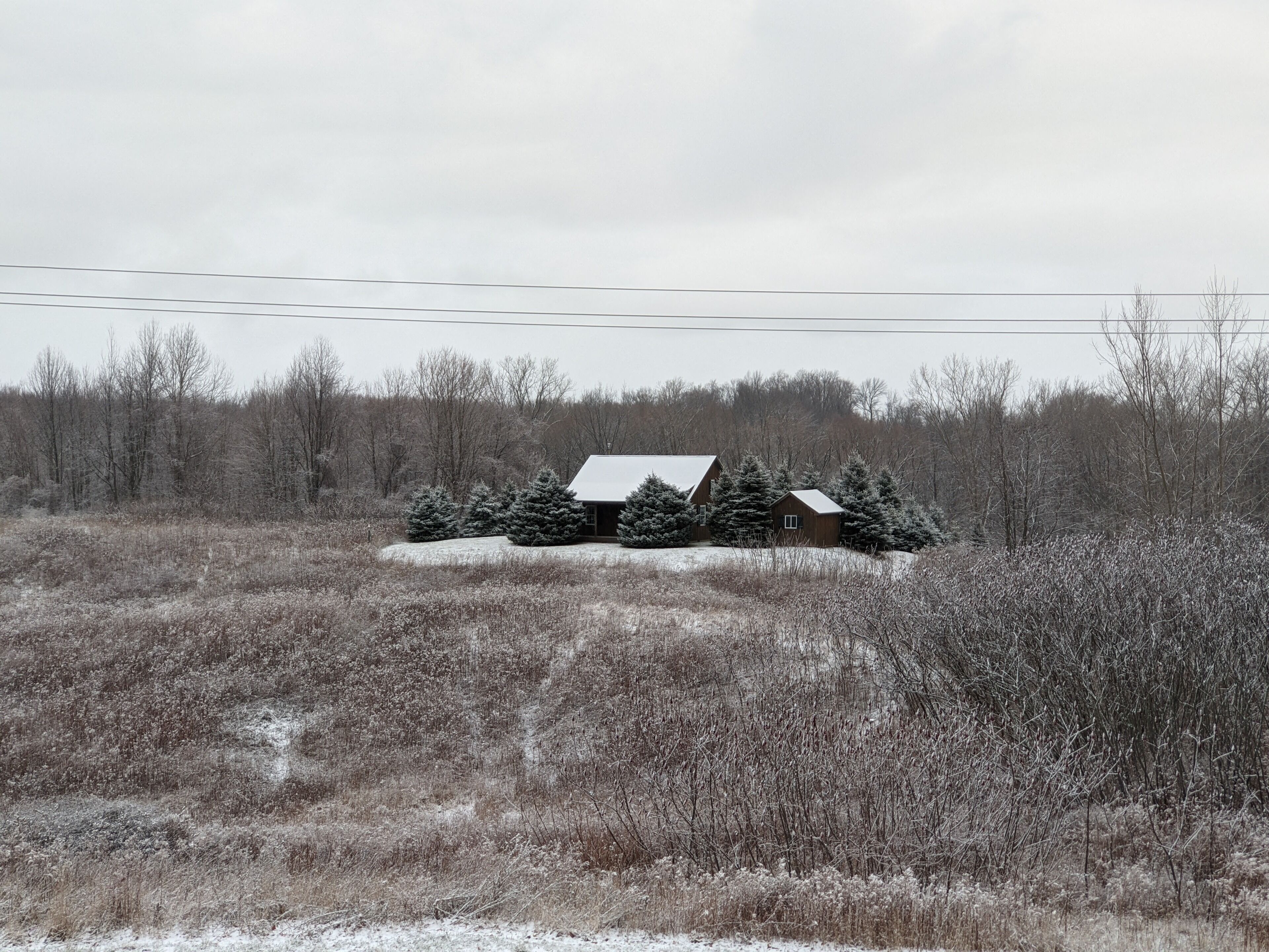 Une cabane rustique, entourée d’arbres et de champs couverts de neige.
