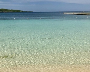 A clear view of a beach with shallow water, a pier in the distance, and a green landmass on the left.