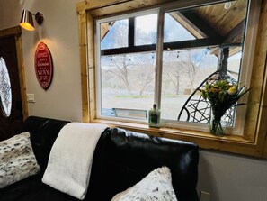 Smart TV, fireplace, DVD player, books