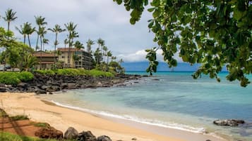 Playa en los alrededores, camastros y toallas de playa