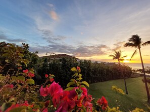 Property grounds - Expansive Oceanview Lanai: Pool, Hot Tub , Steps to Beach! (Lahaina)