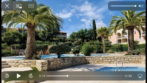Un área de piscina con palmeras y muros de piedra, rodeada de vegetación y edificios.