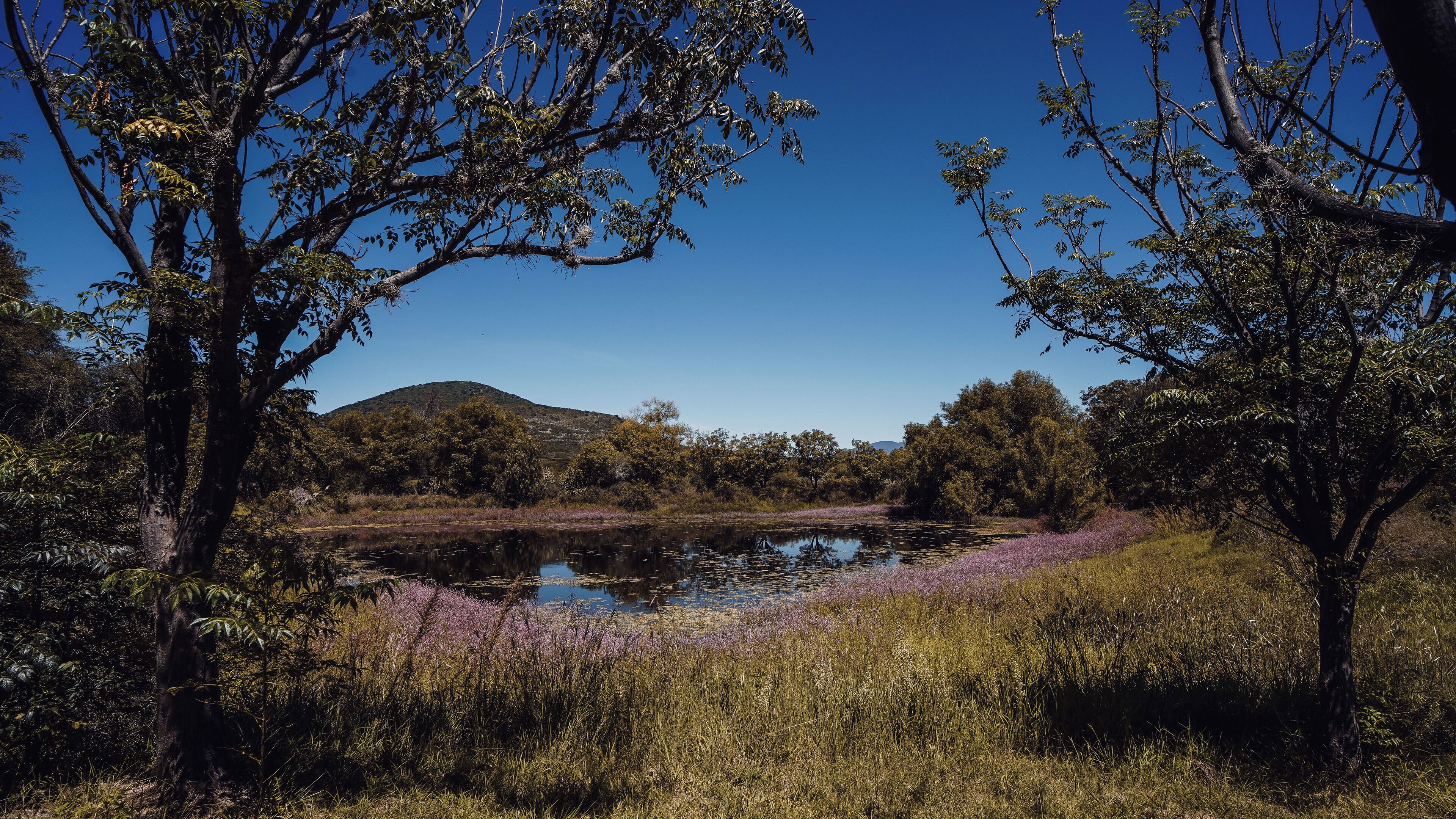 land view from property