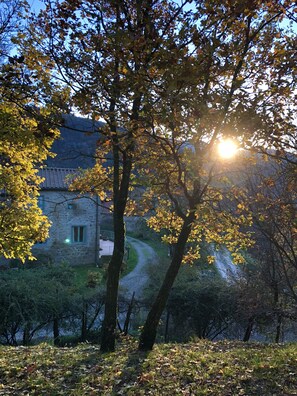 Property grounds - Romantic apartment in villa with swimming pool in Chianti Rufina (Londa)