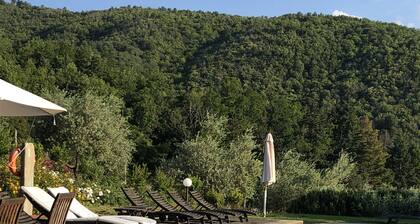 Romantic apartment in villa with swimming pool in Chianti Rufina