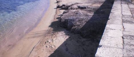 بالقرب من الشاطئ