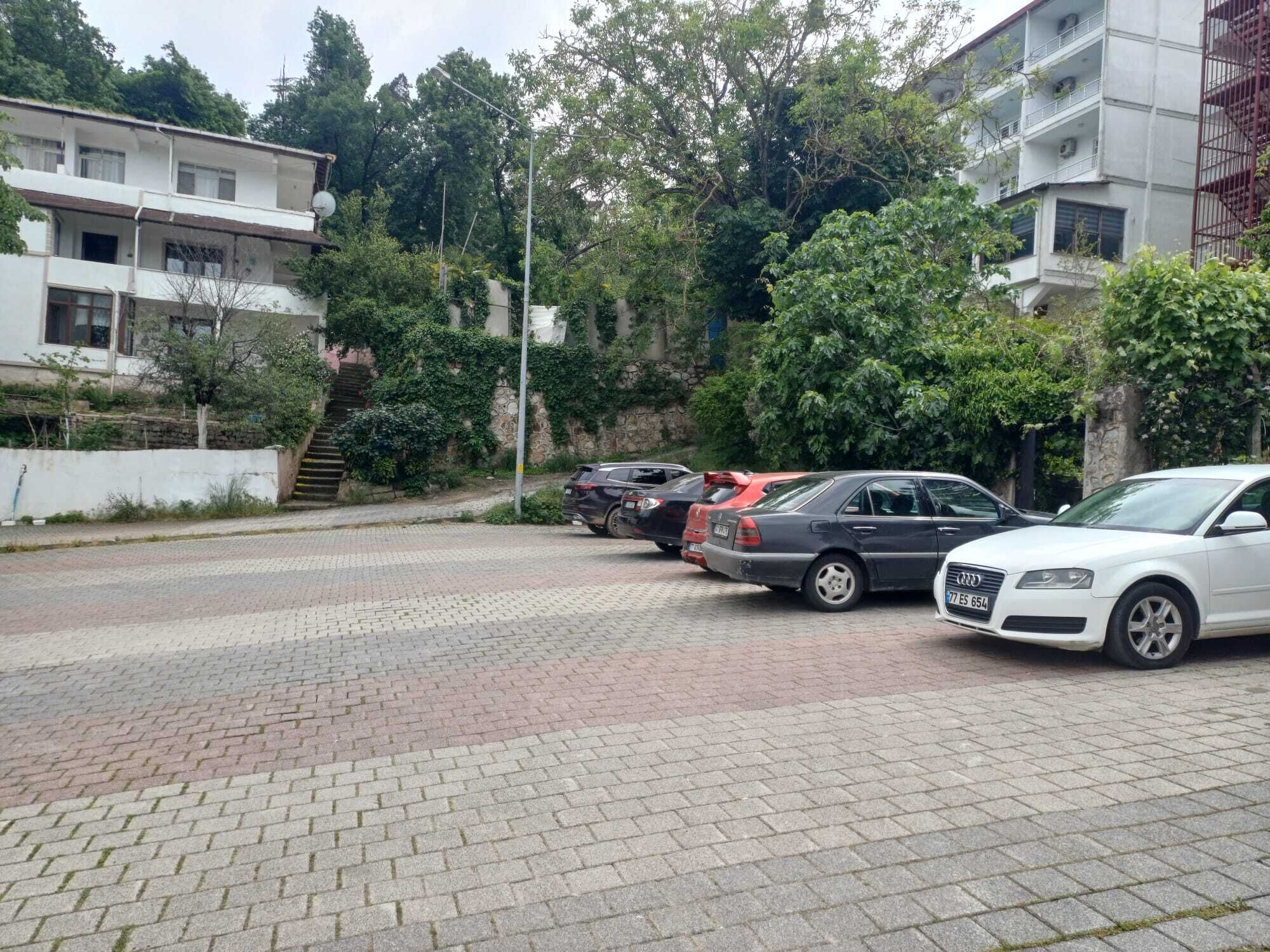 Park view