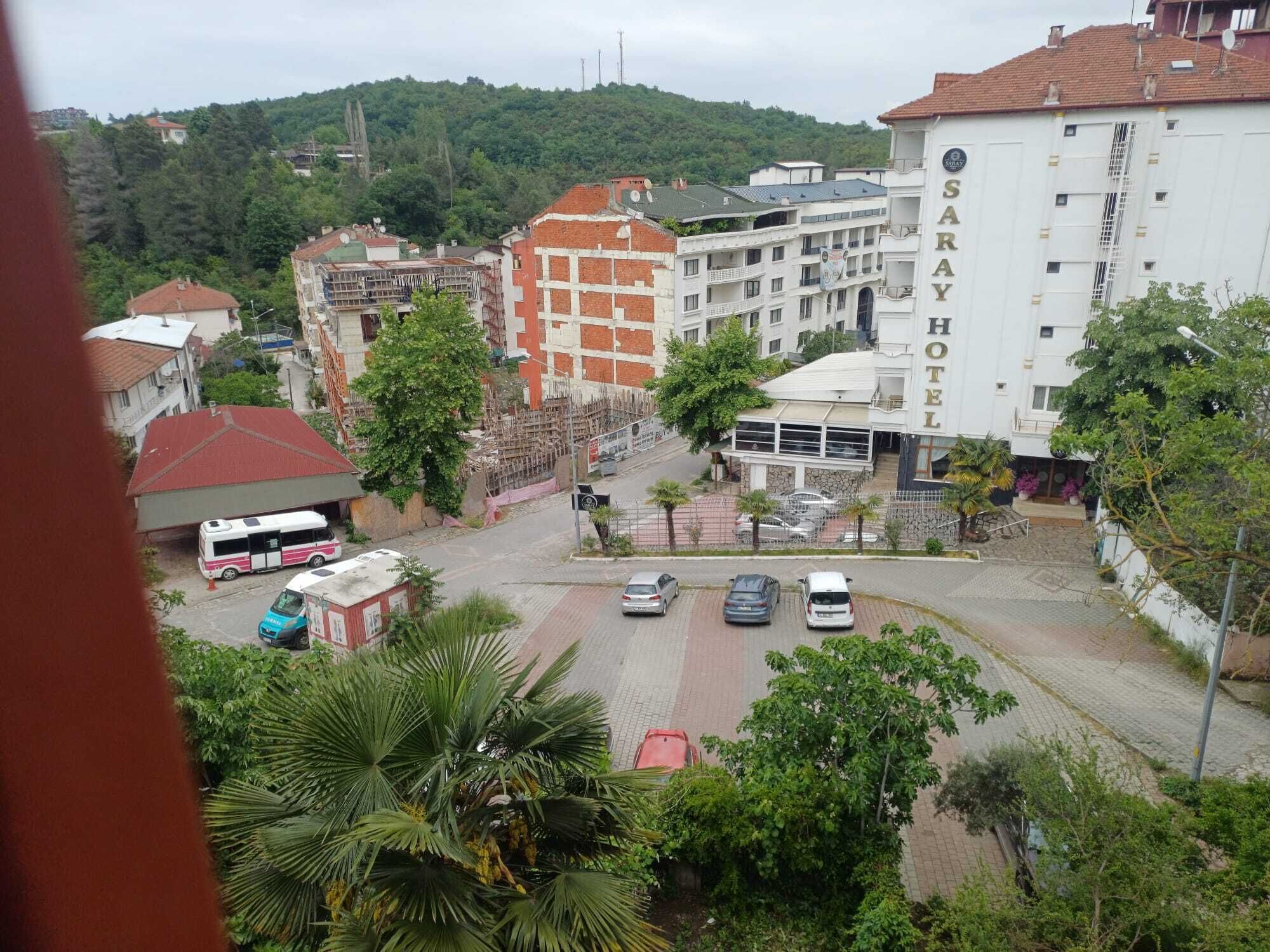 Park view