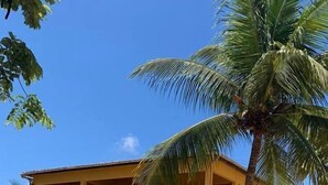 Ảnh chưa phân loại, 5 trong số 28 ảnh, nút