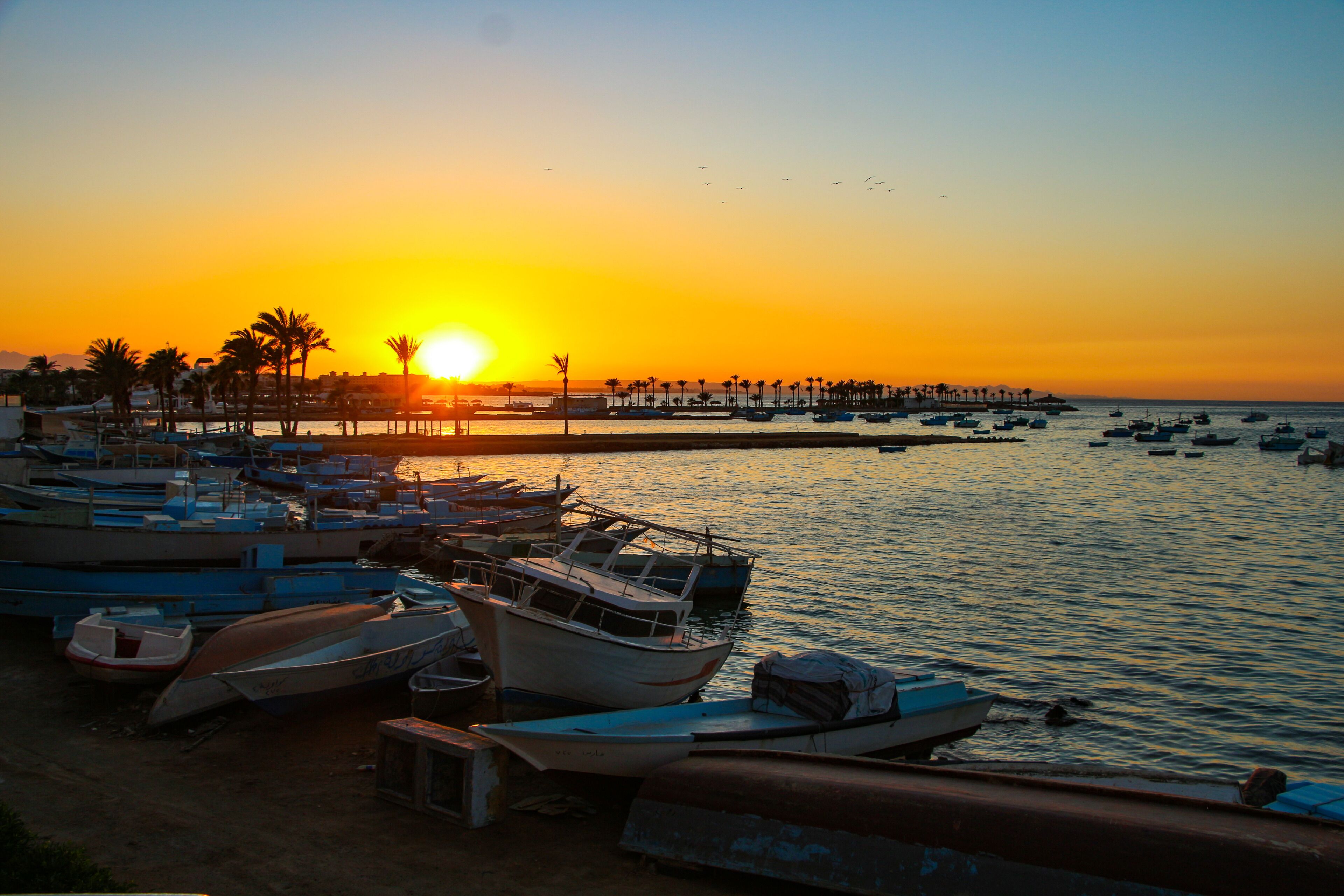 Foto - Boulevard Apartment Hotel