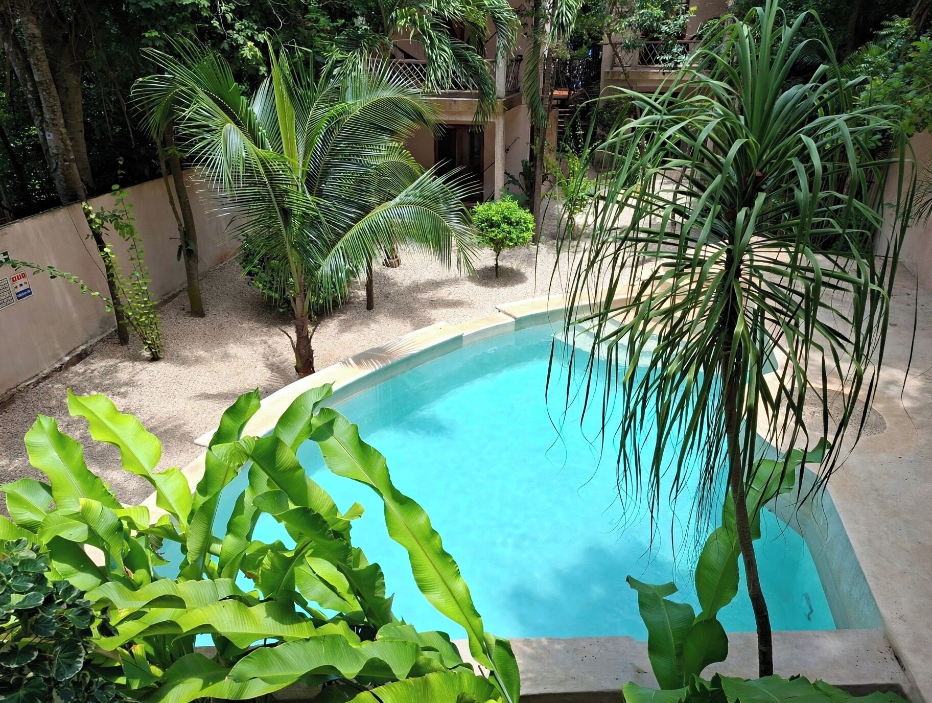 Una piscina rodeada de vegetación, con un edificio al fondo.