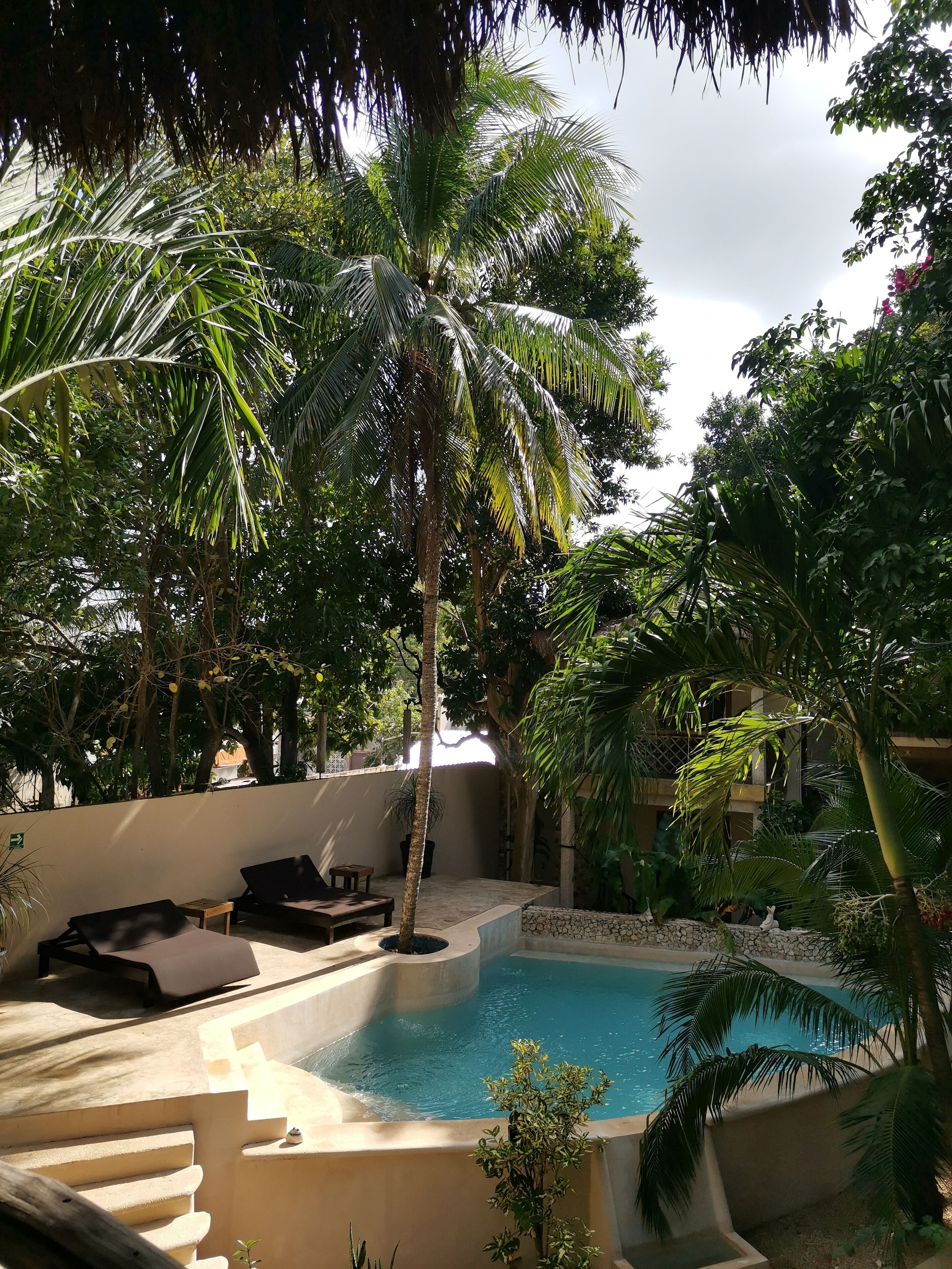 حمّام سباحة خارجي، مقاعد للتشمس