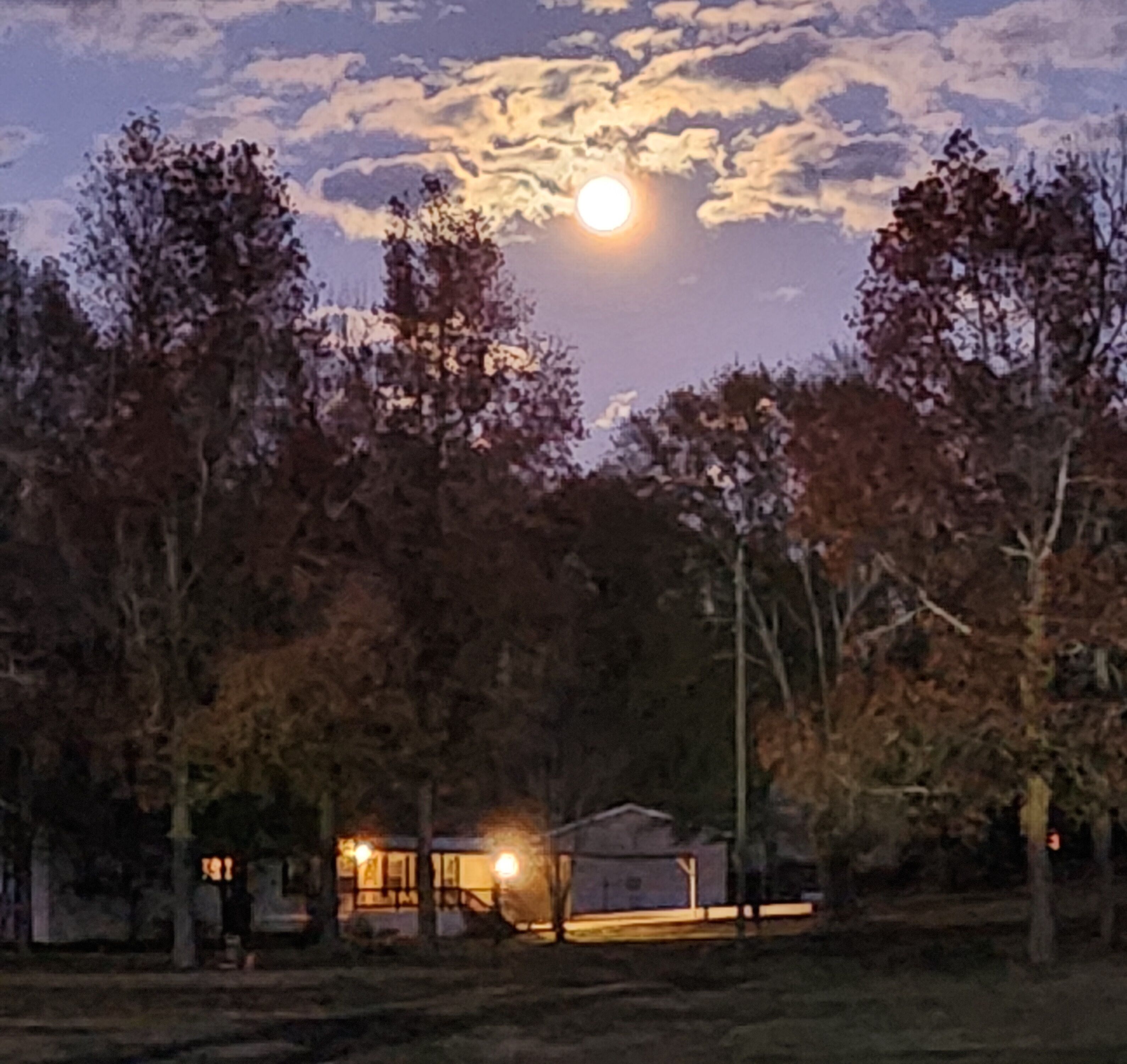 Una cabaña pequeña con porche, rodeada de árboles y un cielo despejado donde se ve la luna.