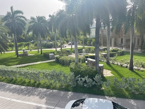 Un área ajardinada con palmeras, una fuente y un sendero pavimentado.