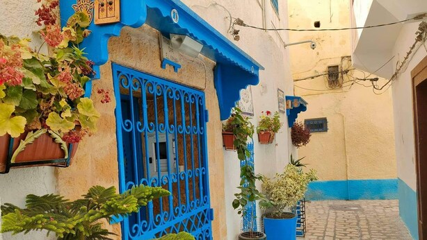A narrow cobblestone alley with a blue door and window, surrounded by potted plants and a large tree. - Très jolie Riad, style Andalous au centre ville de Bizerte à 10 min de la plage! (Bizerte)