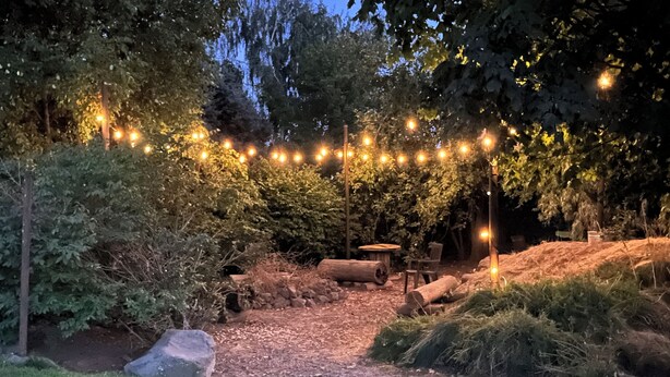Un jardín con un banco de madera, un muro de piedra y luces colgantes.