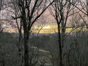 Property grounds - Enjoy the summer at Douglas Lake nearby Smoky Mountains, Pigeon Forge/G-burg (Dandridge)