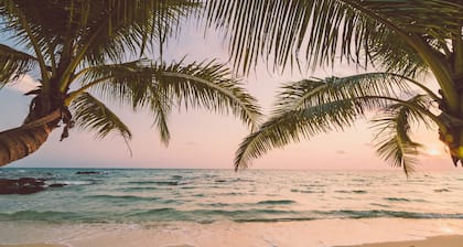 Una experiencia inolvidable en una posada de playa sobre el agua !!
suite jardín