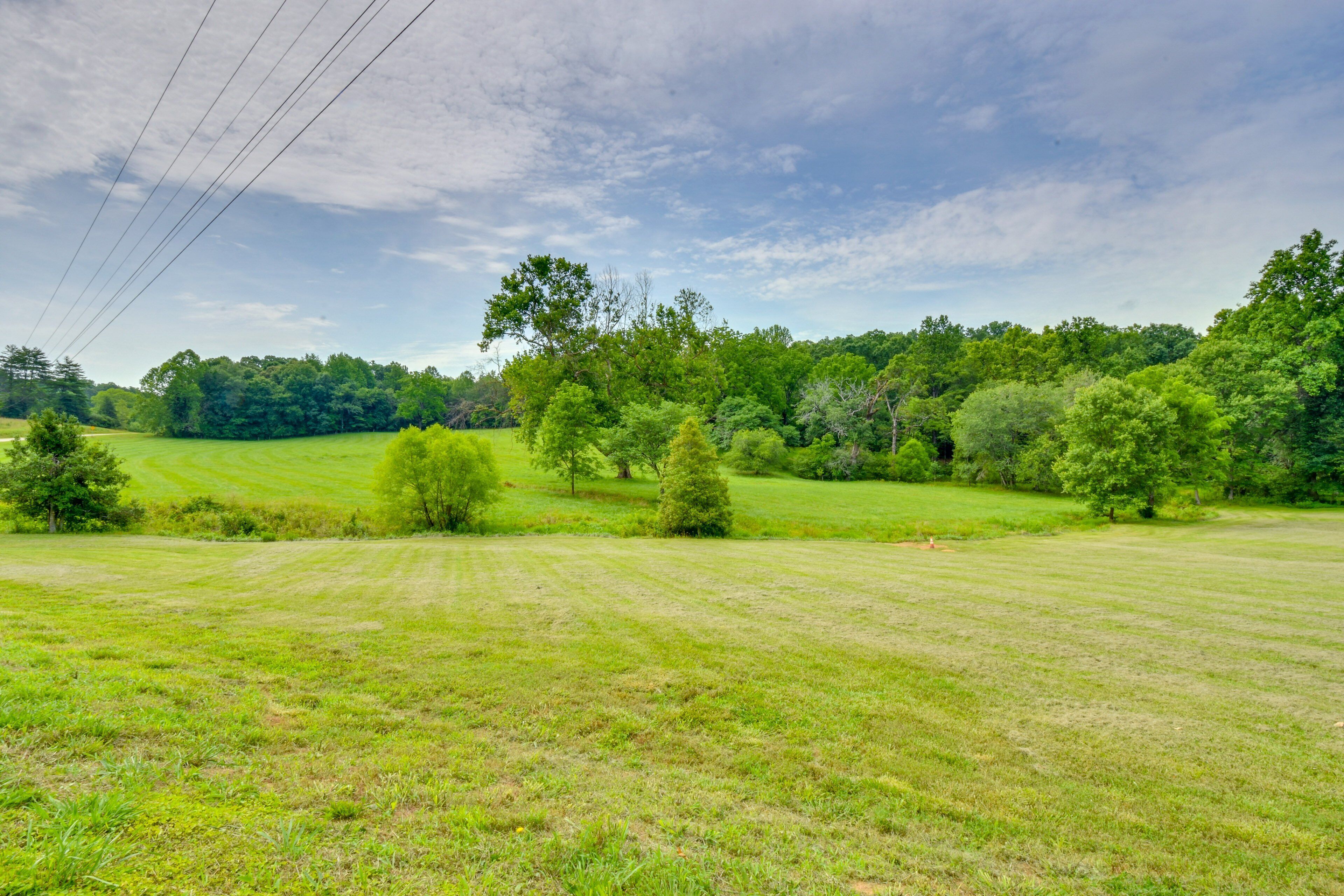 A grassy field with trees and power lines in the background.