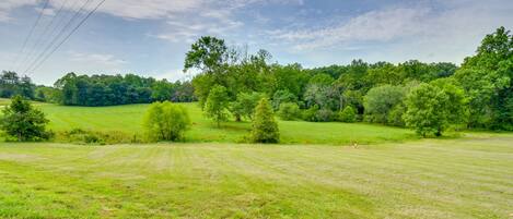 Ein grasbewachsenes Feld mit Bäumen und Stromleitungen im Hintergrund.