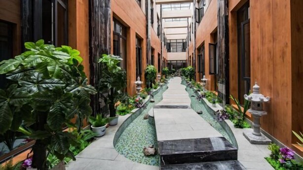 Un estrecho pasillo interior con paredes de madera, plantas en macetas y un camino central.