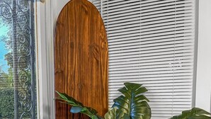 A room with a wooden door, a window with blinds, and a potted plant with large leaves.