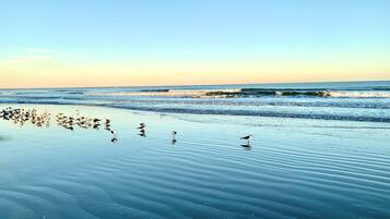 Beach nearby, sun loungers, beach towels