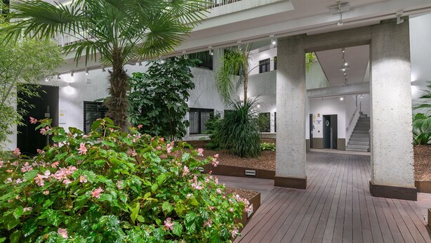 A spacious indoor atrium with a central wooden walkway, surrounded by lush greenery and concrete pillars. - Holiday Rentals Tempa Museo (Seville)