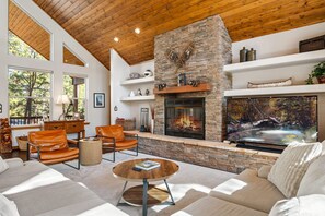 TV connectée, cheminée, jeux vidéo, livres