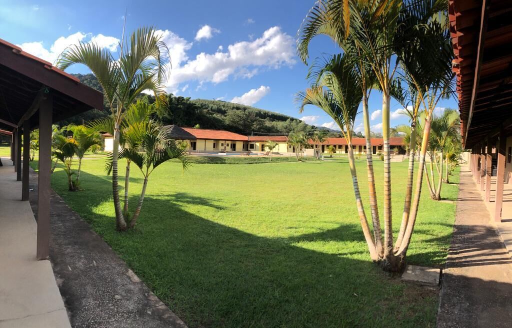 Un patio con césped, palmeras y un edificio de techo rojo.