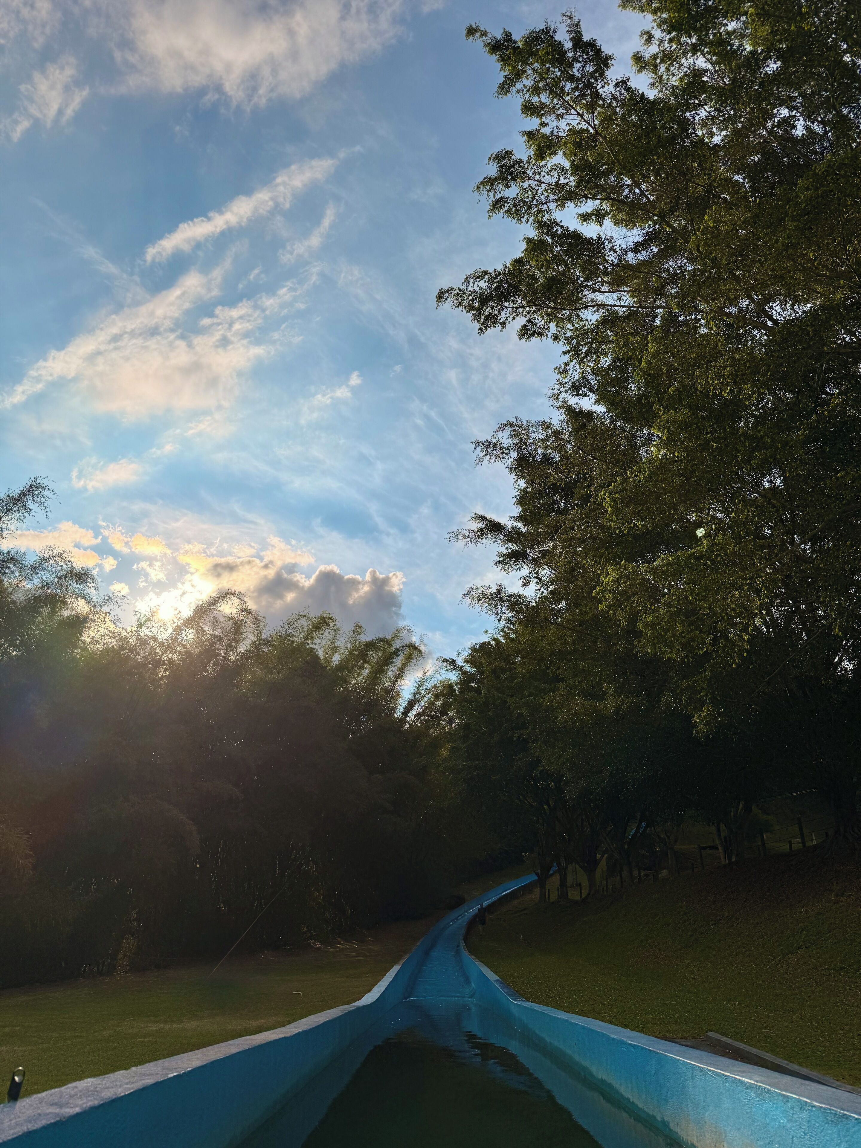 A pathway leading through a park with trees on either side and a clear sky above.