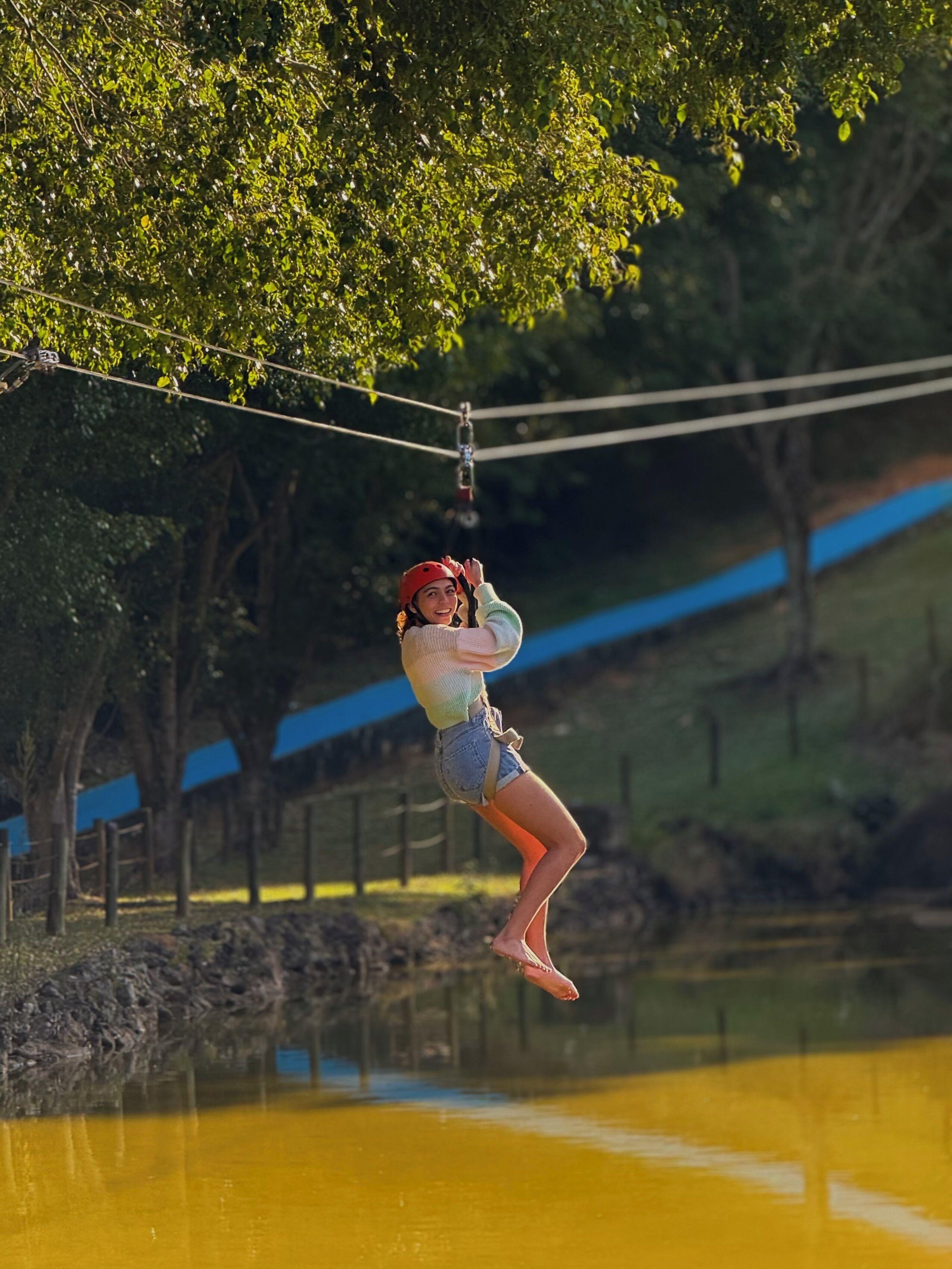 Eine Person zipline mit Sicherheitsgeschirr, Bäumen und einem blauen Zaun im Hintergrund.