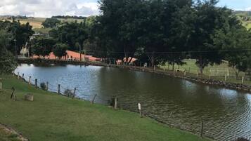 Lago
