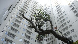 รูปภาพที่ไม่ได้จัดประเภท, 4 จาก 21, ปุ่ม