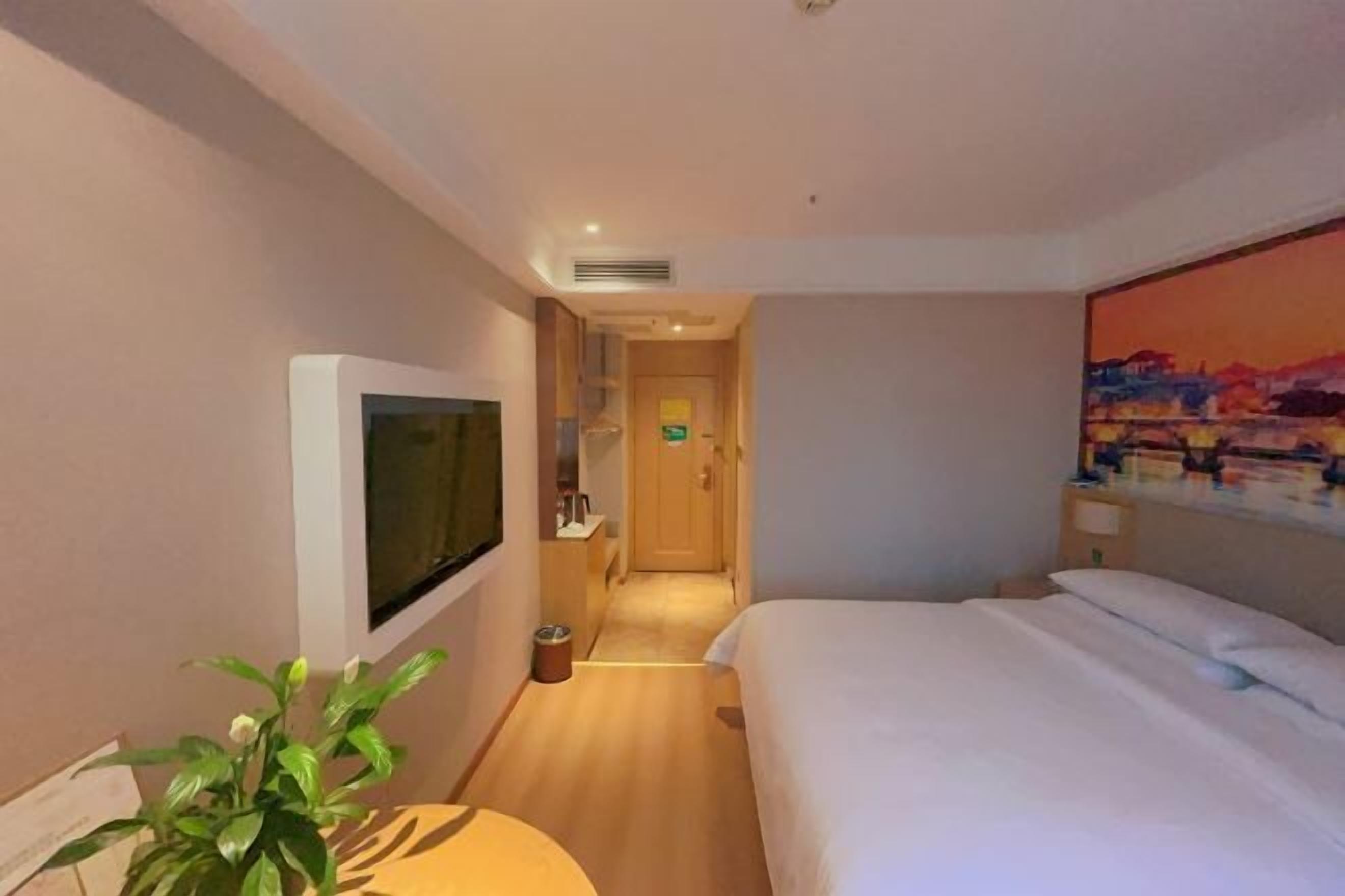 A hotel room with a bed, a TV mounted on the wall, a small table with a plant, and a painting on the wall.