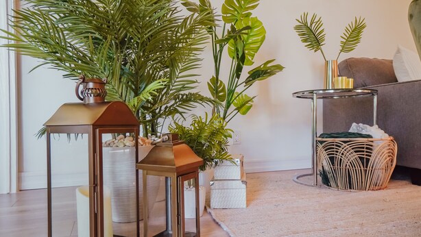 A cozy living room with a large potted plant, a side table with a lantern, a wicker basket, and a grey sofa.