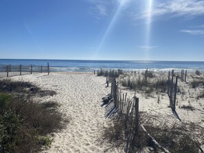 Vlak bij het strand