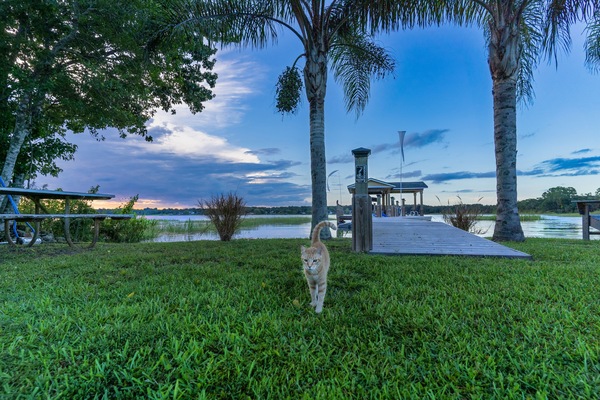 Parco della struttura