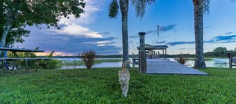 Lake Vibes Only ~ Intimate Lake Cottage in Mount Dora