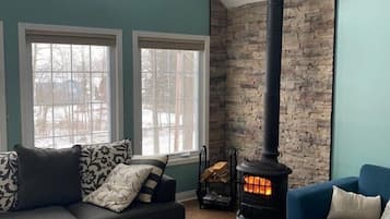 Una Smart TV, una chimenea, un reproductor de DVD, libros