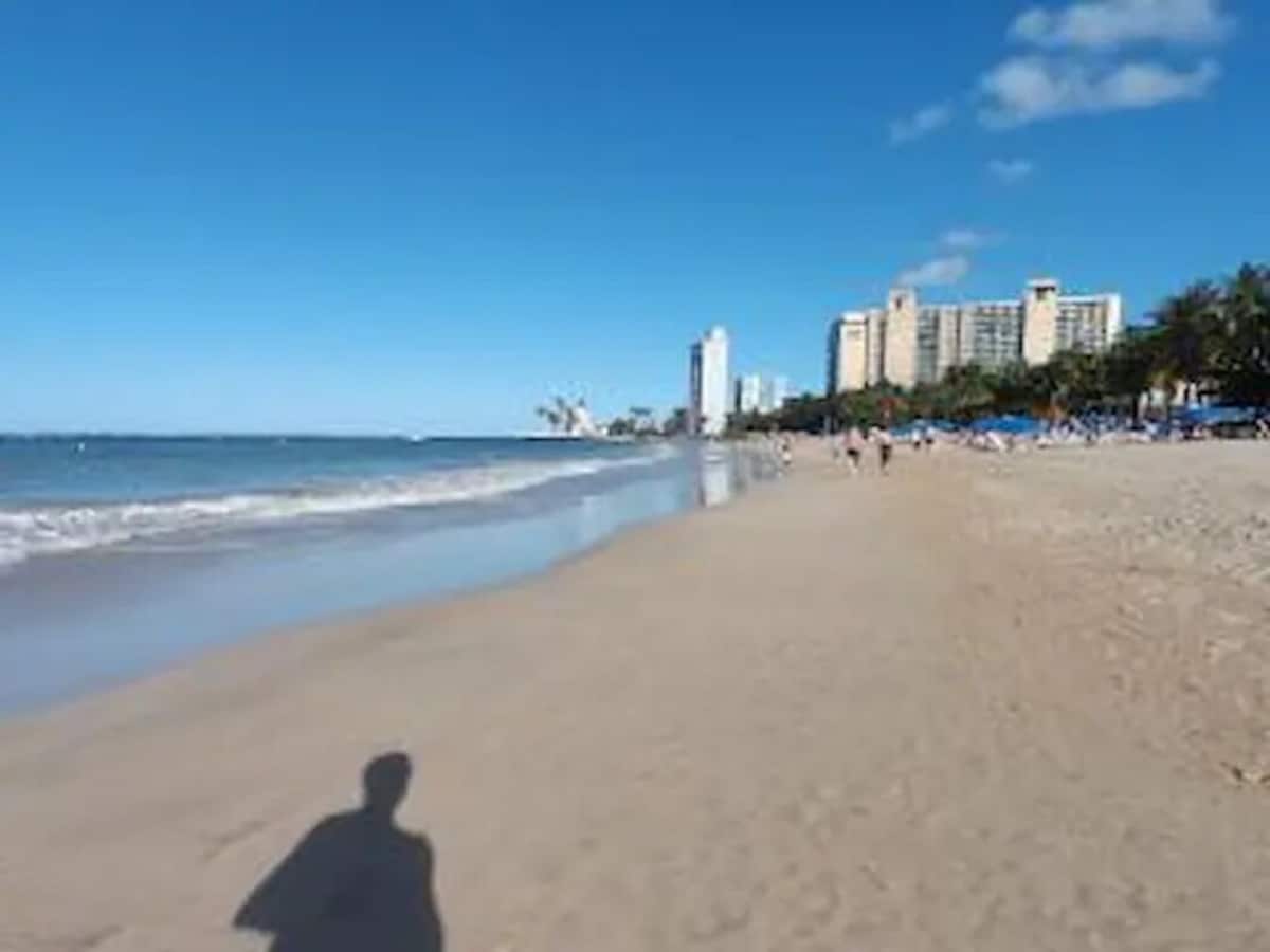 Foto de perfil del anfitrión