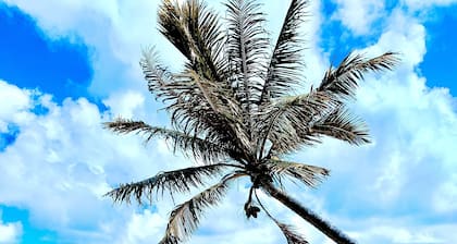 Beautiful Beachside Bungalow