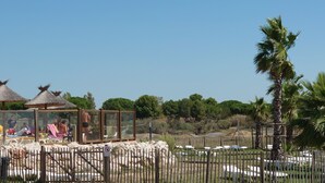A fenced outdoor area with a glass enclosure, palm trees, and a clear sky. - Mobile Home (Lattes)