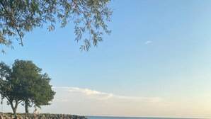 Ein Strand mit einem Felsen, einem Baum und blauem Himmel.