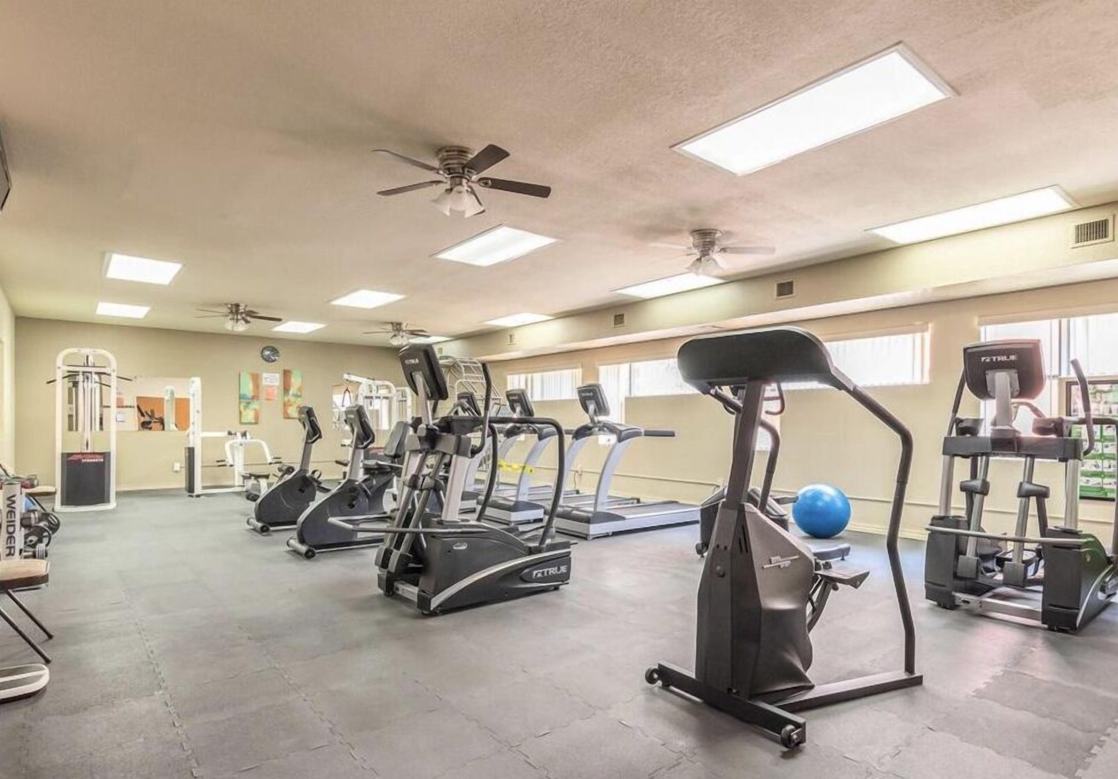 A gym with treadmills, elliptical machines, and free weights.